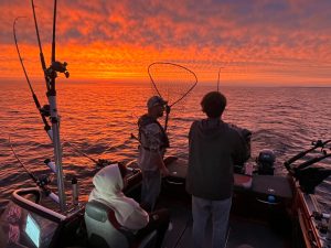 Customers Fighting Mature King Salmon out of Whitehall Michigan