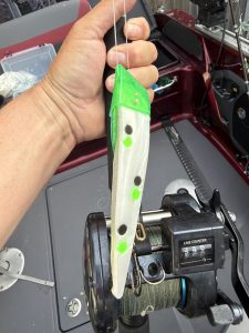 Green glow salmon flasher and fly setup used for King salmon fishing on Lake Michigan near Whitehall, Michigan.