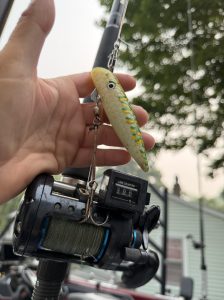 Dreamweaver 4 inch Luckycharms single treble hook